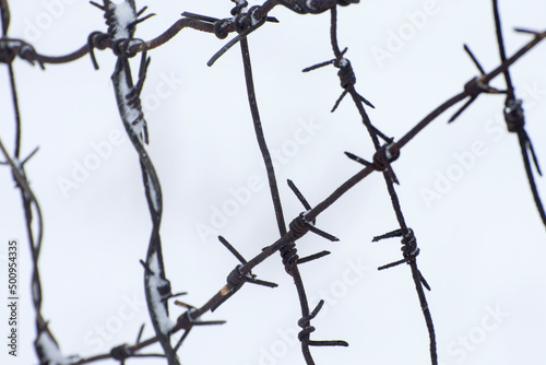 Barbed wire fence. Specially blurred background.