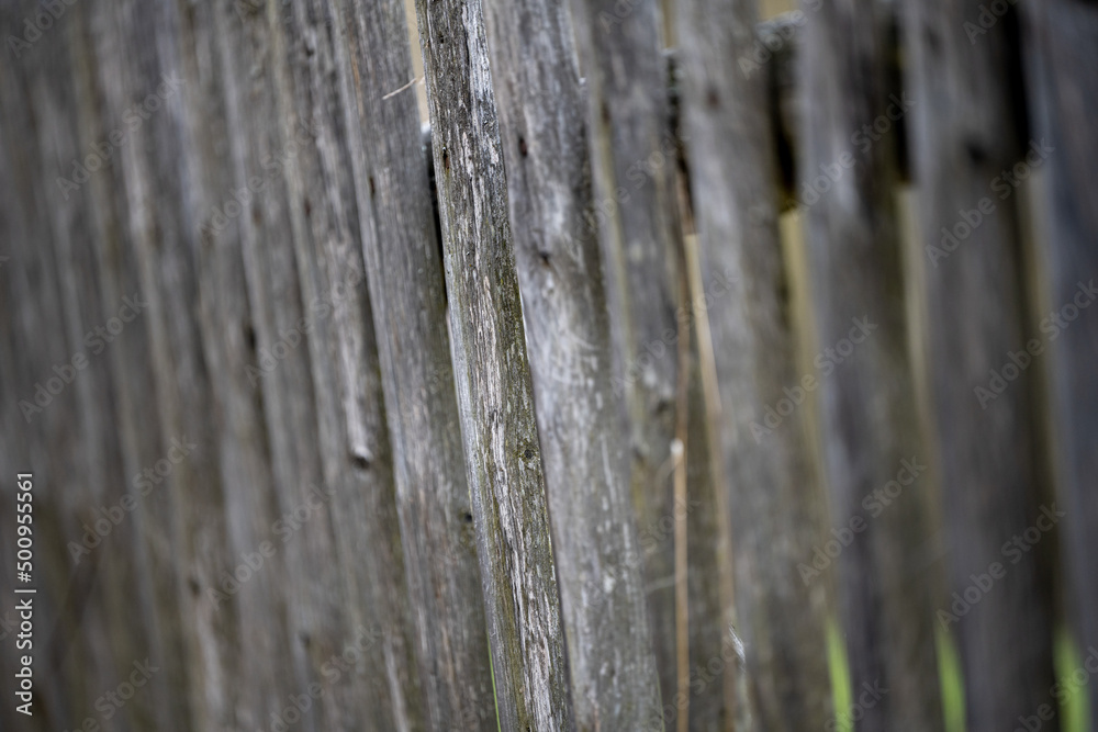 Close up of old planks. Old wood background. Close up of old planks. Old wood background.