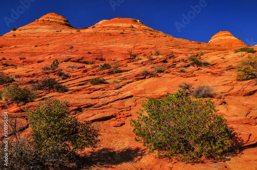 Sandstone formations on the route to The Wave, Coyote Buttes North, Vermilion Cliffs National Monument, Arizona - Utah state border, USA photo