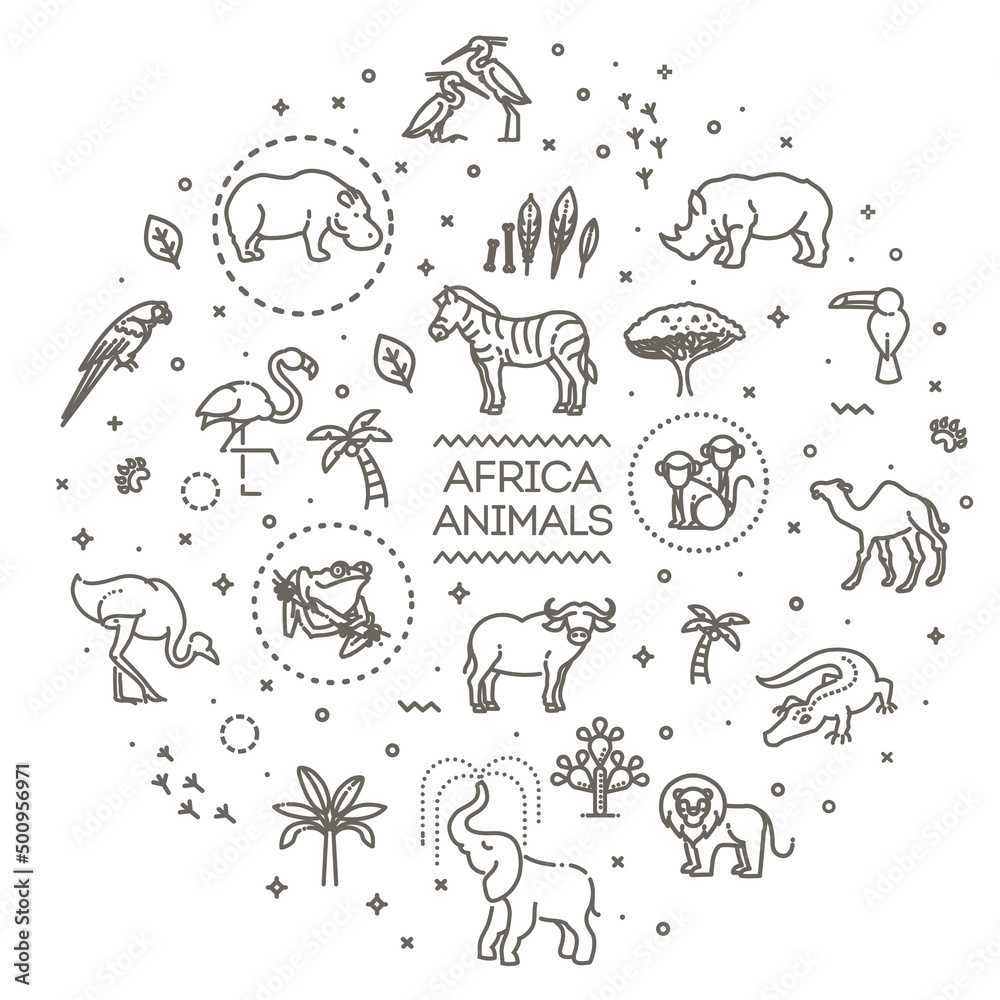 Banner. African animals Banner. African animals