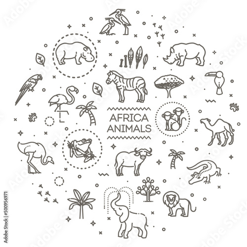 Banner. African animals