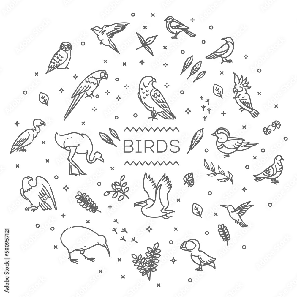 Banner of different birds. Illustration Banner of different birds. Illustration