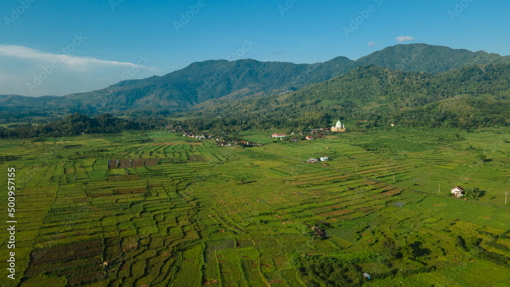 Aerial view of terraced rice fields, green farm fields in rural or rural areas of Lombok. Mountain hill valley at sunrise in Asia. Natural scenery background.