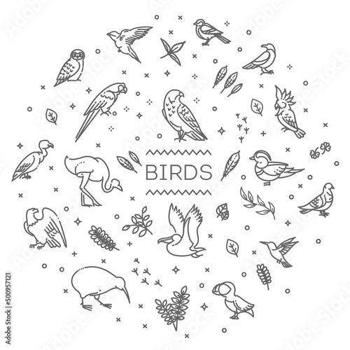 Banner of different birds. Illustration