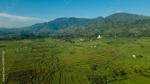 Aerial view of terraced rice fields  green farm fields in rural or rural areas of Lombok. Mountain hill valley at sunrise in Asia. Natural scenery background.