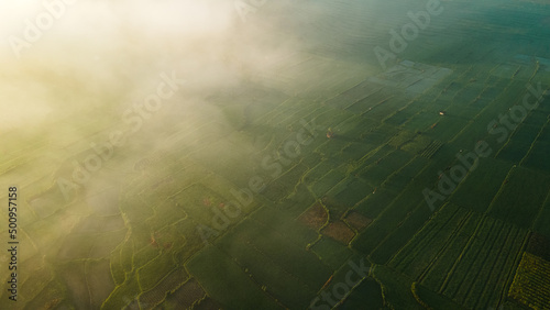 Rice Terrace Aerial Shot. Pictures of beautiful terraced rice fields in the morning when foggy in Lombok © ady sanjaya