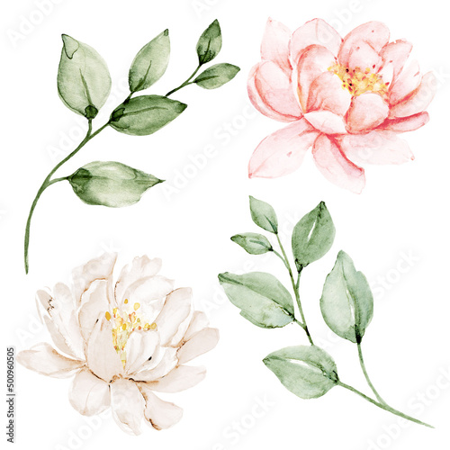 Flower set watercolor hand painting, vintage flowers. Decoration for poster, greeting card, birthday, wedding design. Isolated on white background.