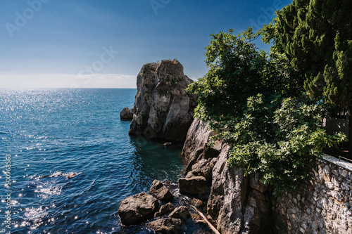 Landscape. Sea waves beat against the rocks on which trees grow. The Black Sea. Crimea.