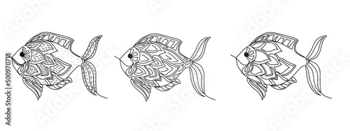 Hand-drawn vector doodles.A set of three ornamental fish. Black and white illustration highlighted on a white background