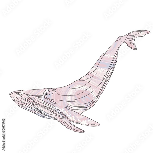 Hand-drawn doodles. Decorative drawing of a whale. Color illustration on a white background