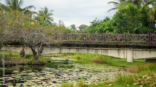 bridge over the river