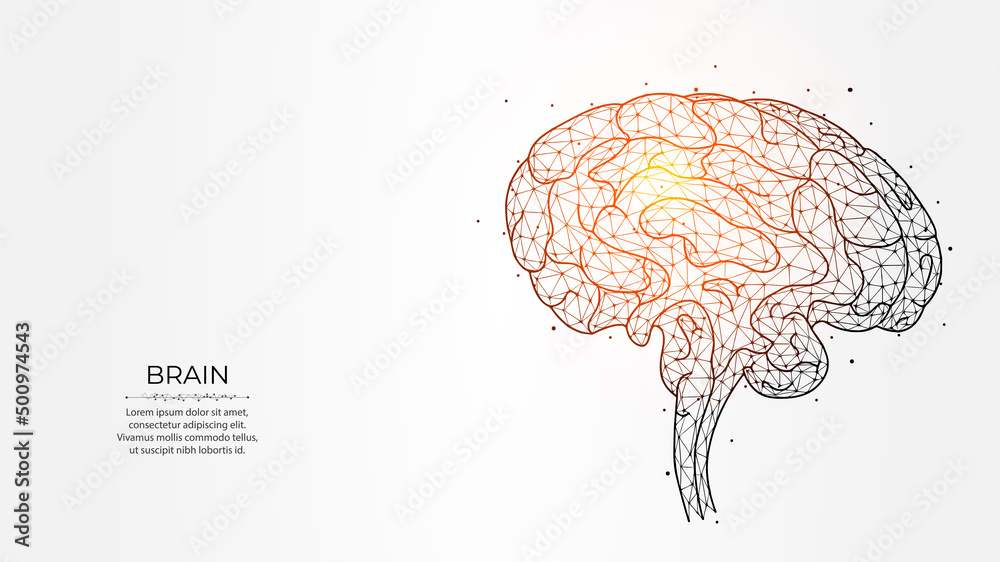 Abstract polygonal vector illustration of human brain on a light background. Brainstorming concept. Neurology creative banner, template or background.