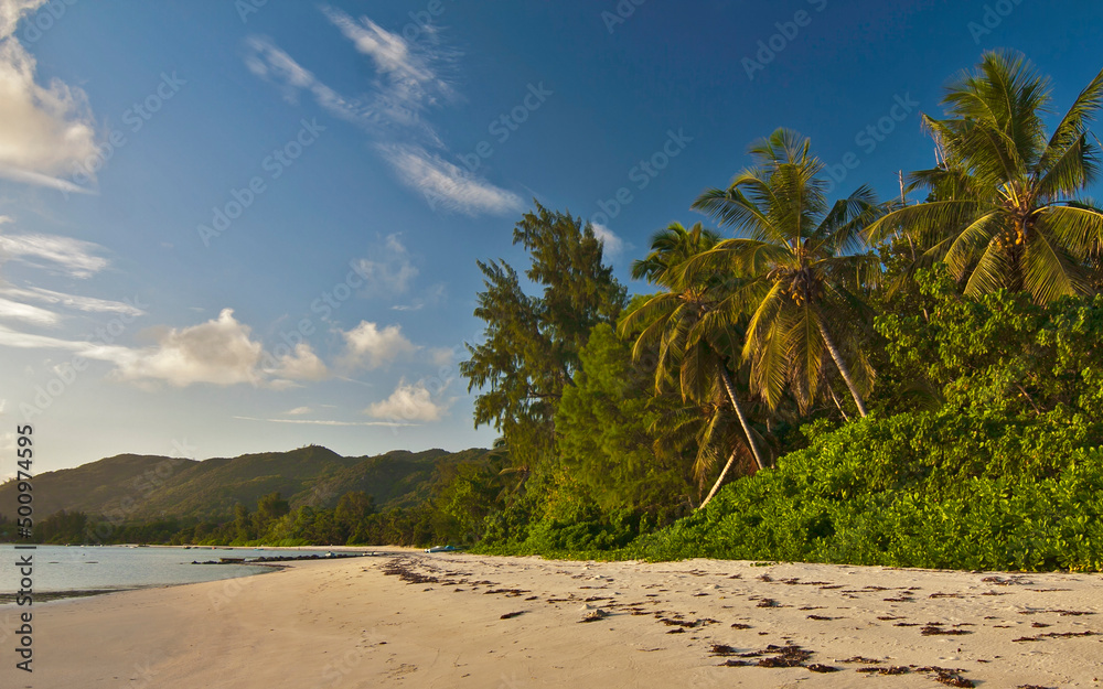 Seychelles - Praslin island - Relax paradise of Grande Anse sand beach with surrounding green palms