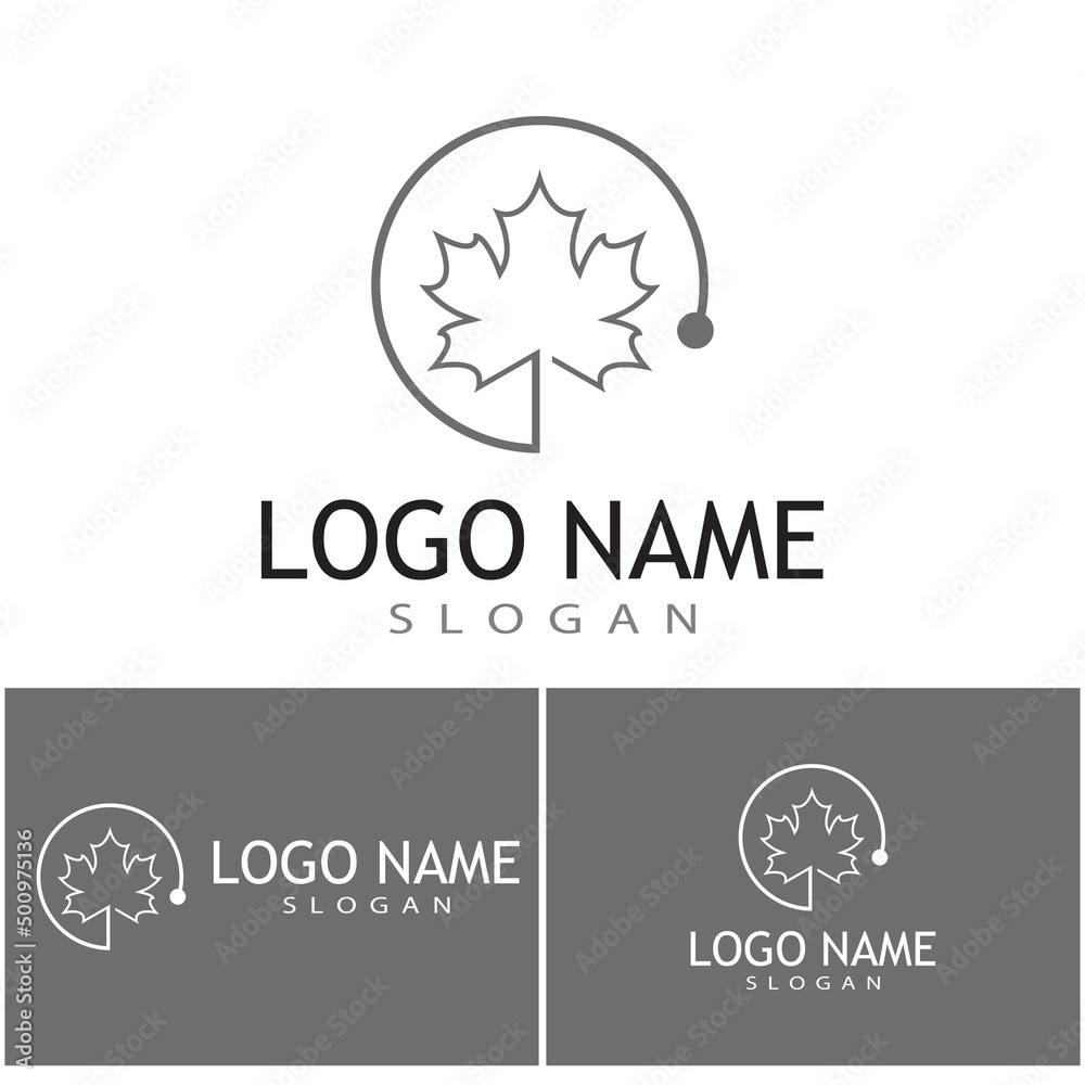 Maple leaf vector illustration design template Maple leaf vector illustration design template