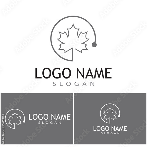 Maple leaf vector illustration design template