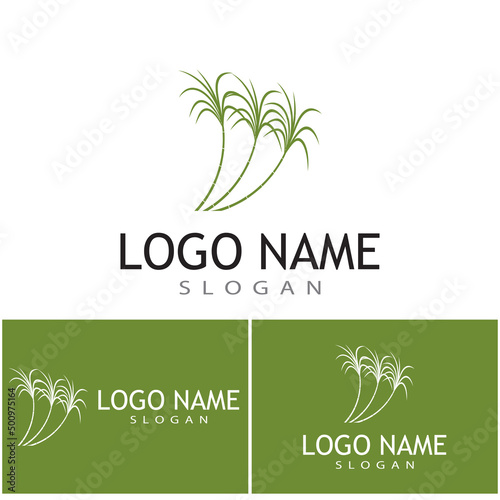 Sugar cane Logo Template vector symbol nature
