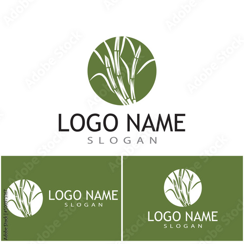 Sugar cane Logo Template vector symbol nature