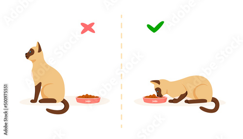 Cat with good and bad appetite. Picky cat refusing to eat and hungry cat eating food in bowl. Feeding pet problem concept. Flat style vector