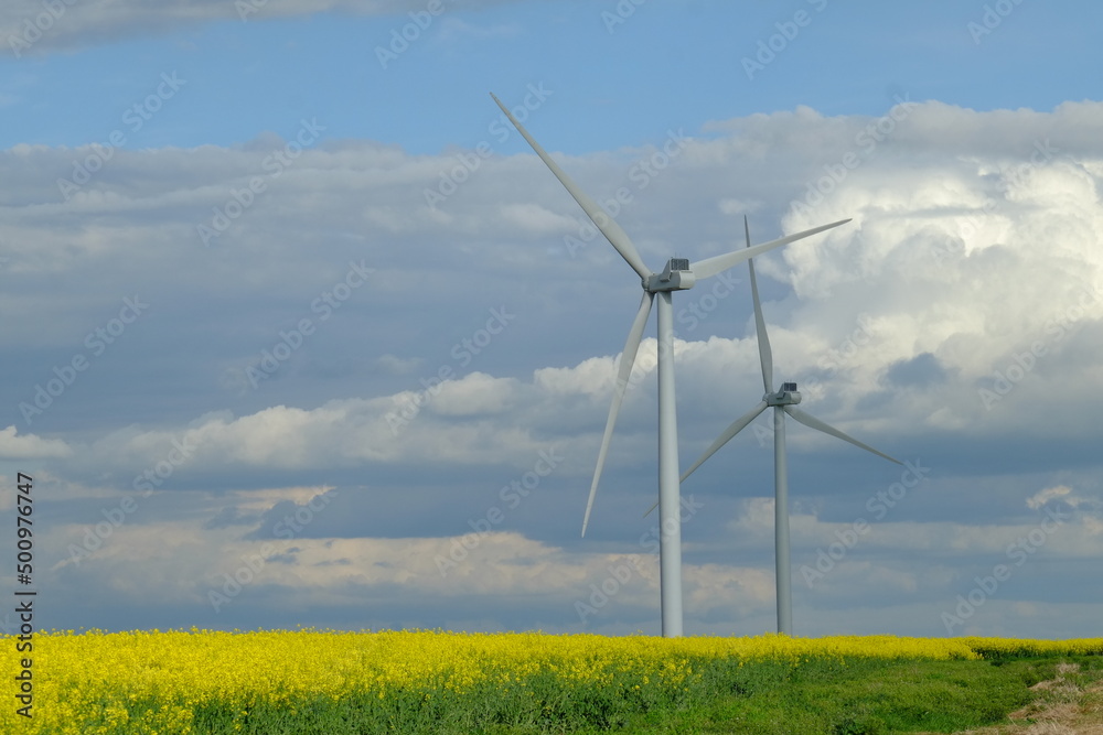 Some wind turbines are in the middle of some fields of rapeseed. A picture of the french countryside. April 2022, Yvelines, France.