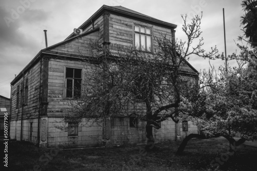 Fototapeta Naklejka Na Ścianę i Meble -  Three story old centuries wood house with stone basement and green garden with grass and big trees in a cloudy day, Valdivia, Chile (in black and white)