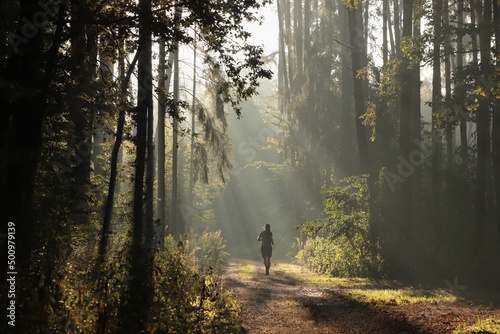 A man runs along a forest path on a foggy morning