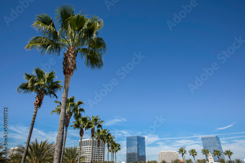 Daytime palm framed view of the Orange County downtown skyline of Irvine, California, USA. photo