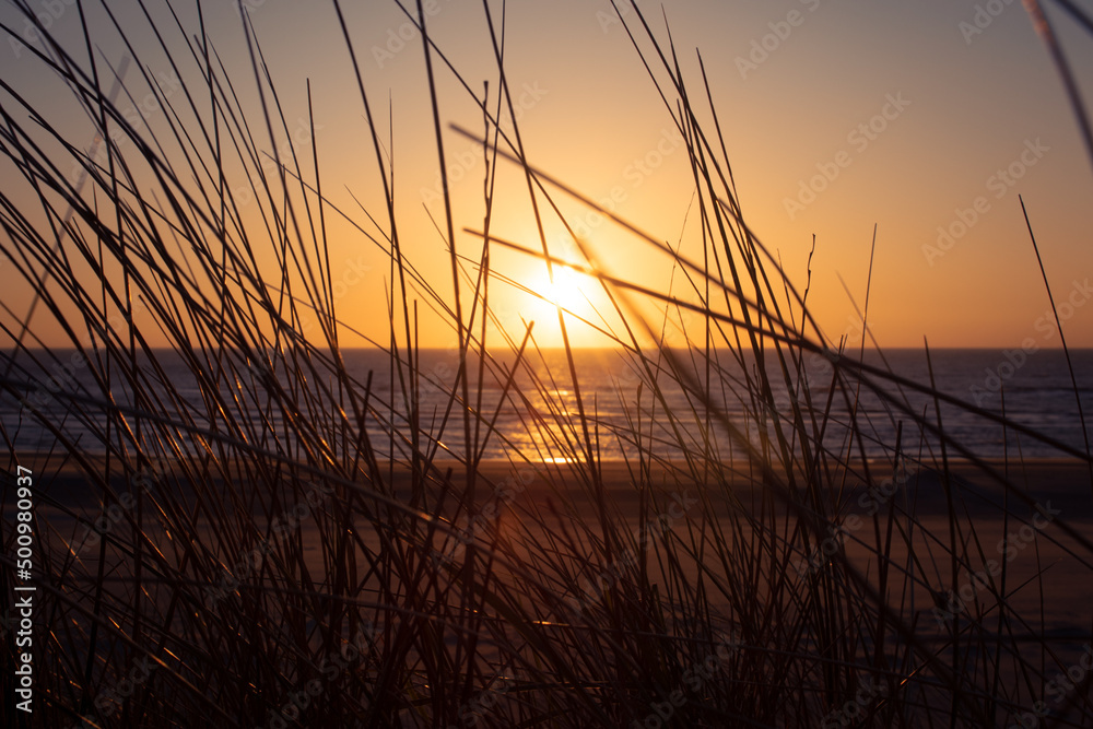Zandvoort, Nordsee, Sonnenuntergang, Dünen