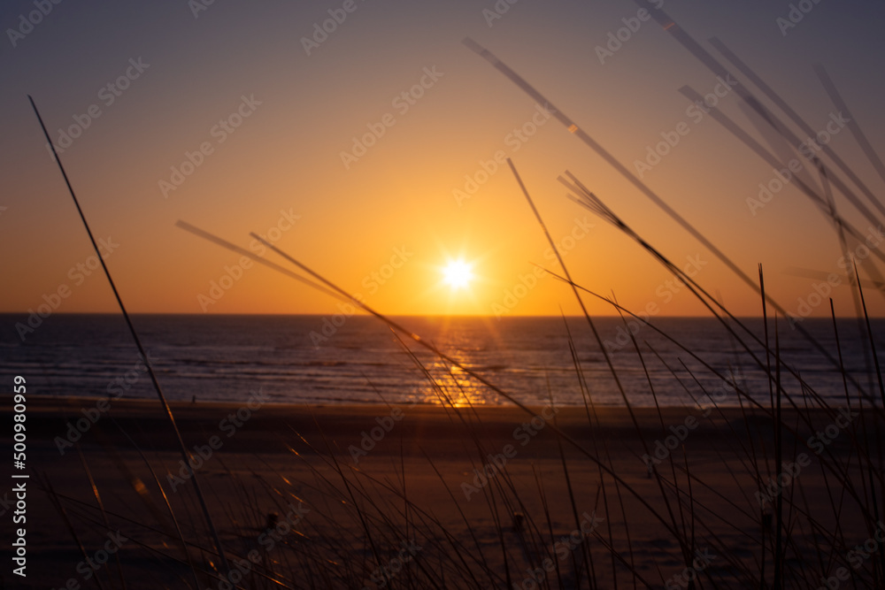 Zandvoort, Nordsee, Sonnenuntergang, Dünen