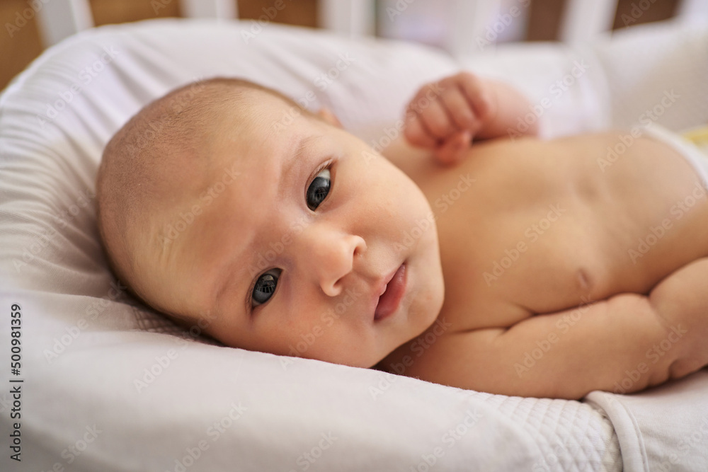 newborn baby close-up looking directly at the camera newborn baby close-up looking directly at the camera