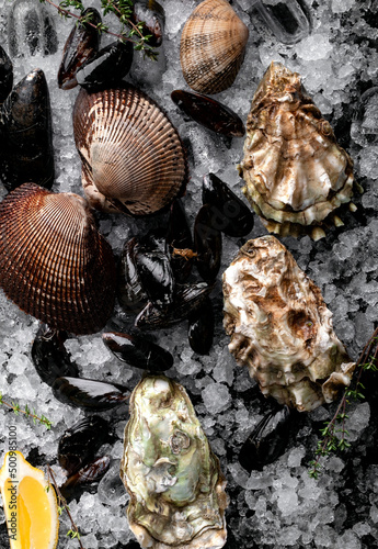 Raw Clams vongole shells, mussels, oysters and lemon with ice on black slate. Fresh shellfish for cooking with seasonings on the table, close up