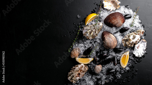 Raw Clams vongole shells, mussels, oysters and lemon with ice on black slate. Fresh shellfish for cooking with seasonings on the table