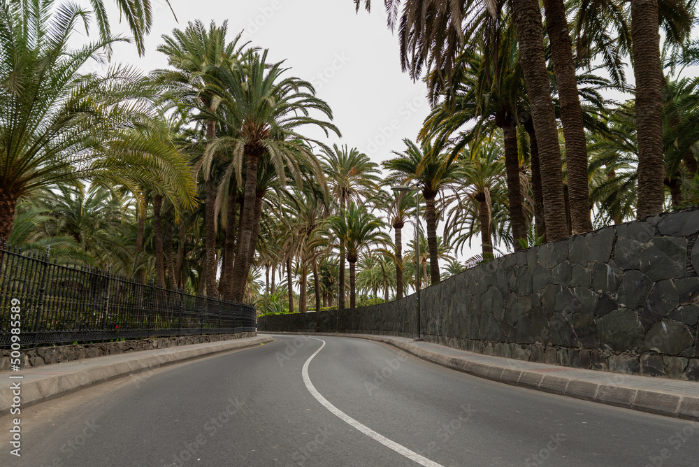 Beautiful view of new road among many palms on Island Beautiful view of new road among many palms on Island