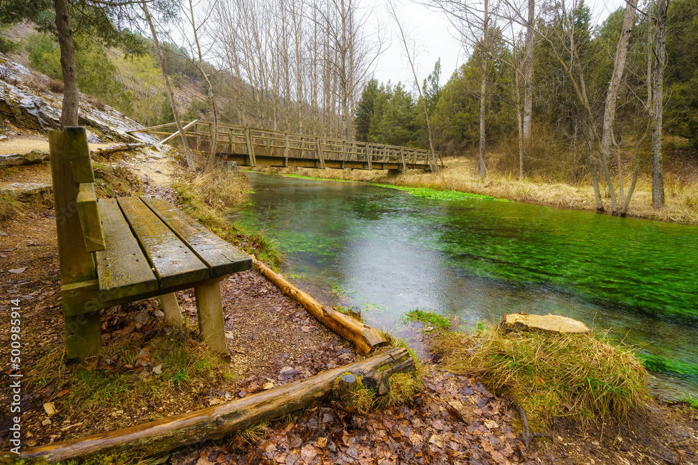 Wooden bench by the river of the mysterious forest on a rainy day, Soria, Spain.