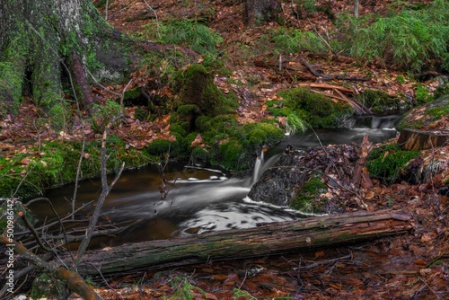 Cerveny creek with Cerveny waterfall in Jizerske mountains in spring morning photo