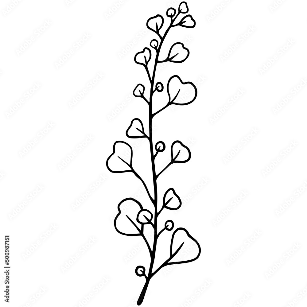 A simple line drawing of plants. Vector graphics. A simple line drawing of plants. Vector graphics.