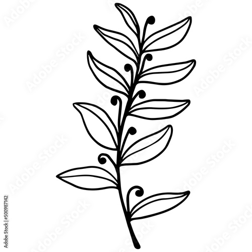 A simple line drawing of plants. Vector graphics. © Екатерина Якубович