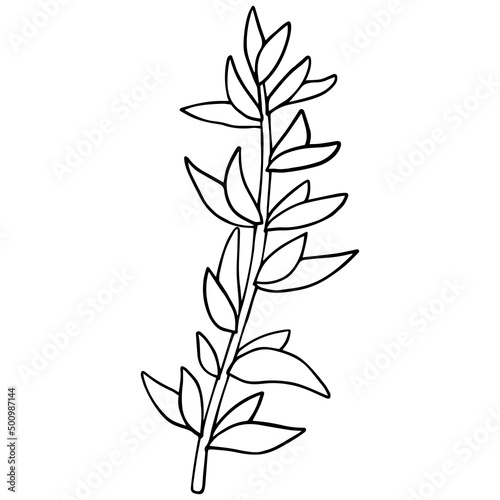 A simple line drawing of plants. Vector graphics.