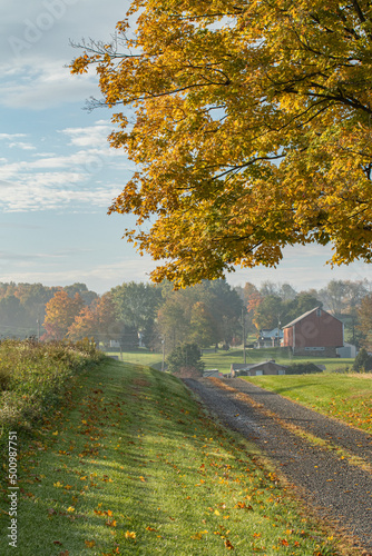 Private Country Lane Under a Bright Yellow Tree in Ohio's Amish Country