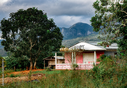 Pink house photo