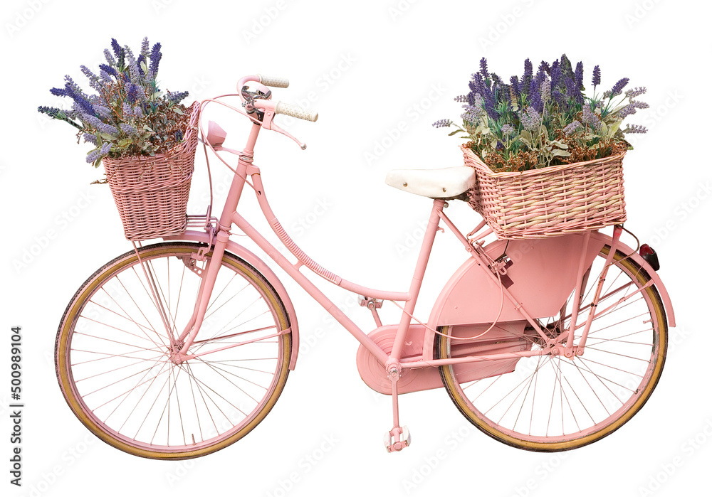 Old cute pink painted bicycle with baskets and flowers in springtime isolated on white for easy selection - Fashion Cut Out concept