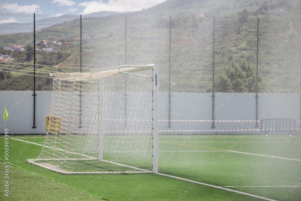 Fototapeta premium PARTIDO DE FUTBOL PROFESIONAL DE DIA