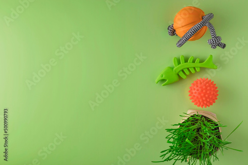 Juicy and nutritious grass, pet toys on a green background. Top view. Copy space.