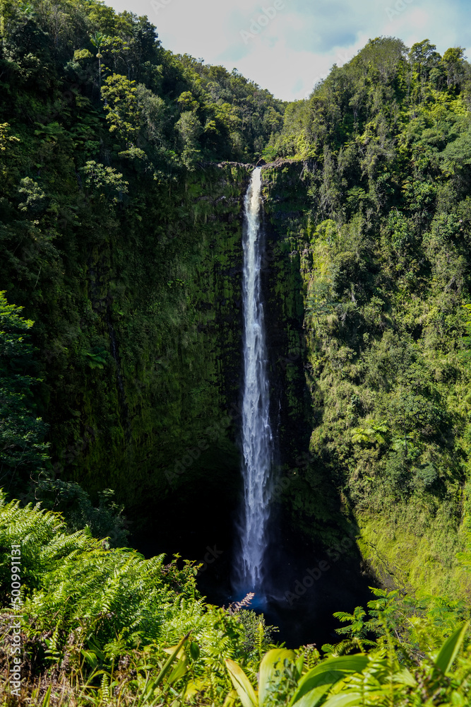 Akaka waterfall in the rainforest jungle of Akaka Falls State Park on the Big Island of Hawaii, United States