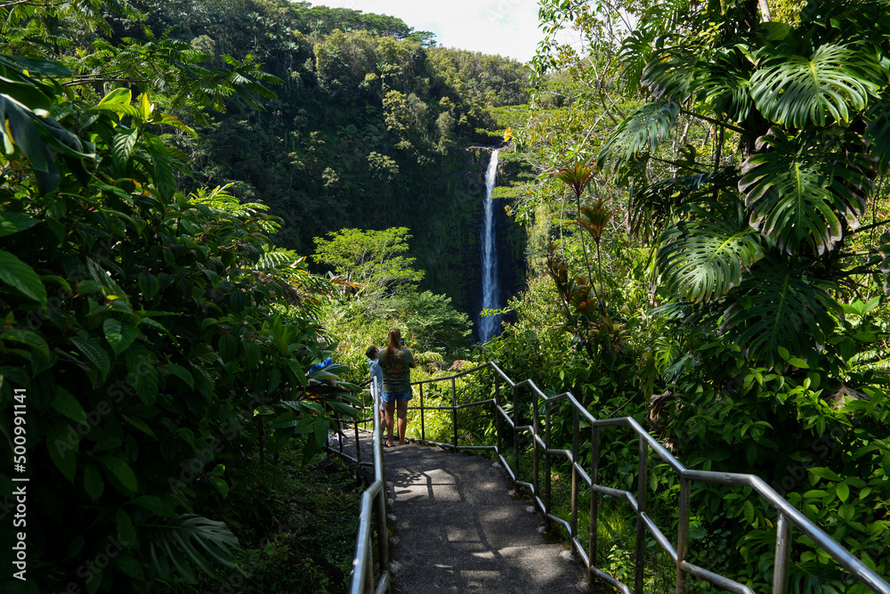 Stairs to the Akaka waterfall in the rainforest jungle of Akaka Falls State Park on the Big Island of Hawaii, United States Stairs to the Akaka waterfall in the rainforest jungle of Akaka Falls State Park on the Big Island of Hawaii, United States