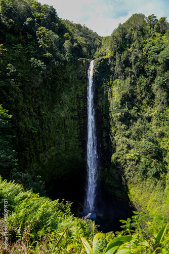 Akaka waterfall in the rainforest jungle of Akaka Falls State Park on the Big Island of Hawaii  United States