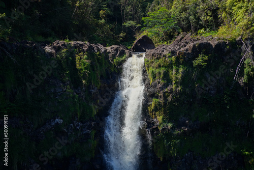 Akaka waterfall in the rainforest jungle of Akaka Falls State Park on the Big Island of Hawaii, United States
