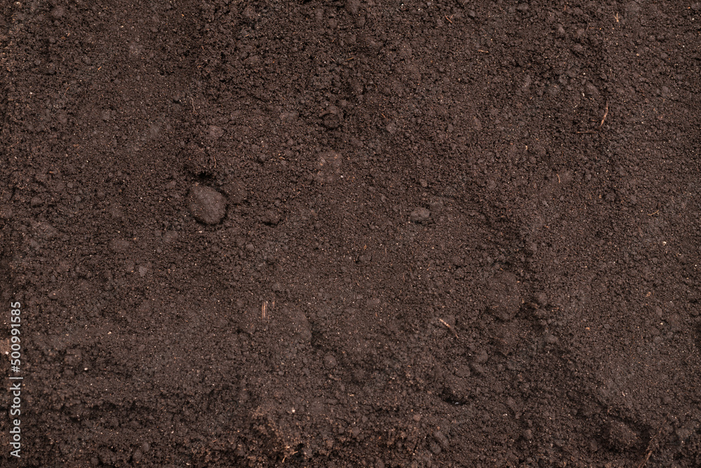 Black land for plant background. Top view. Black land for plant background. Top view.