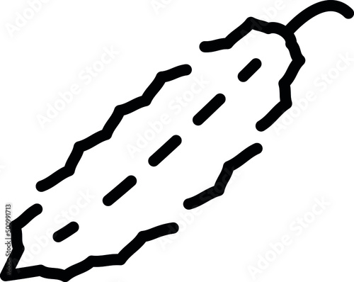 Cucumber used to eaten raw in salads or pickled