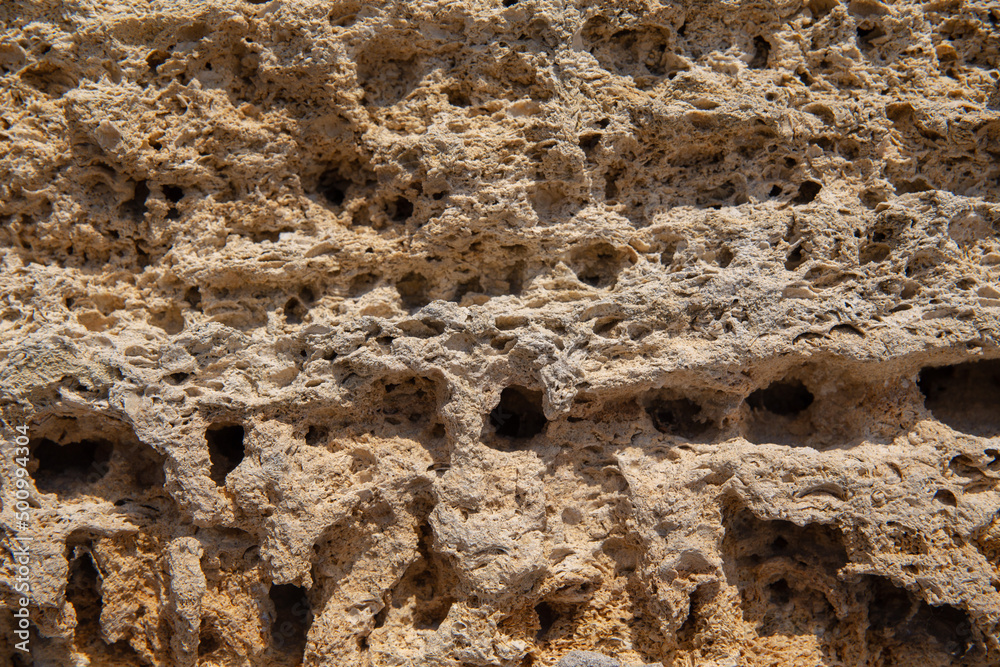 The surface of the yellow shell stone in close-up. The surface of the yellow shell stone in close-up.