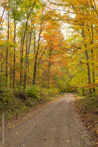 Fototapeta Naklejka Na Ścianę i Meble -  Gravel Country Road in Autumn Forest | Amish Country, Ohio